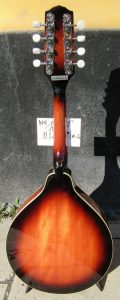 Fender mandolin back.